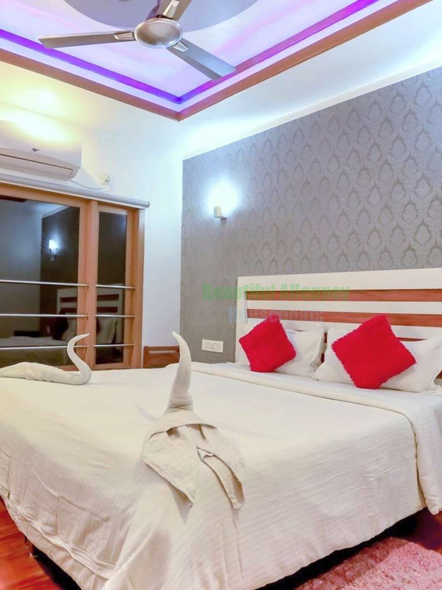 Product-Image-BNU01